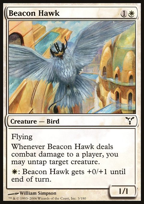 Beacon Hawk